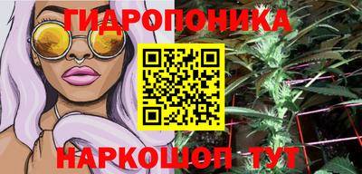 ECSTASY Пушкино